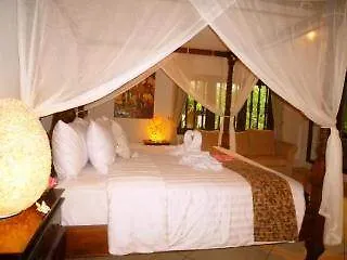 Bali Hidden Paradise Seminyak Indonesië